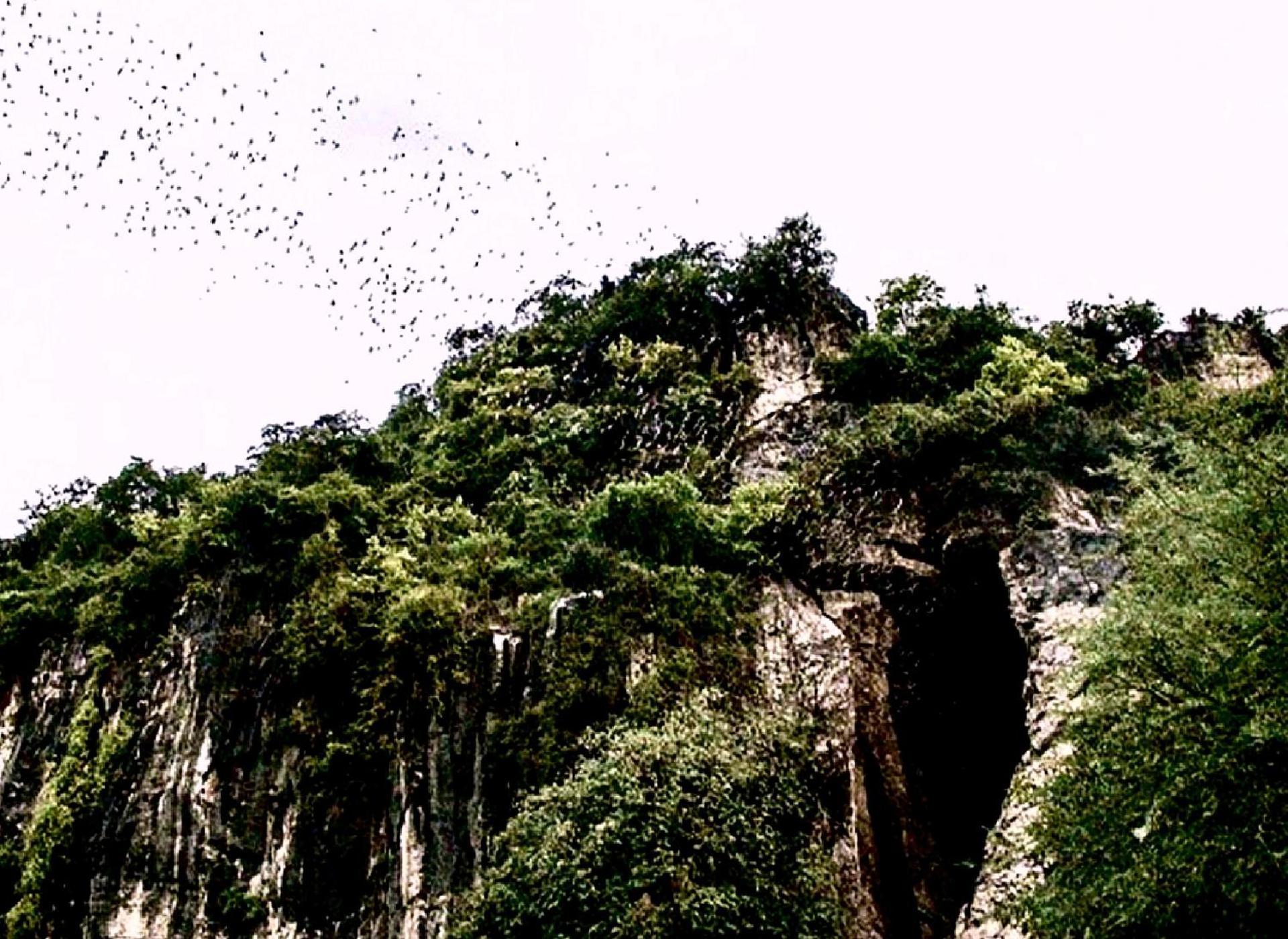 Family Batcave Homestay Батамбанг Екстериор снимка